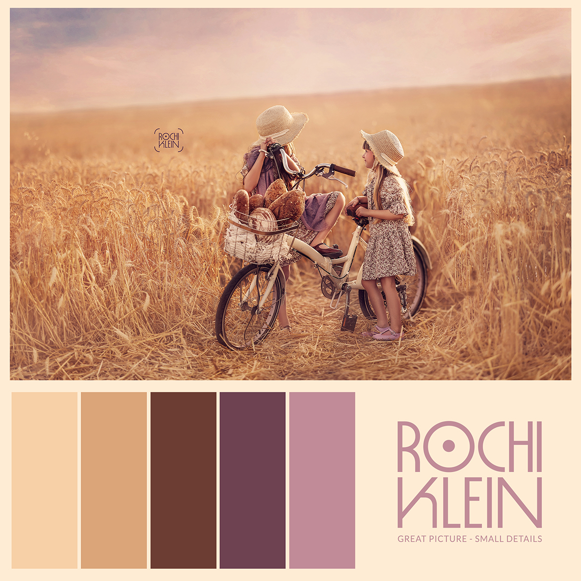 פלטת צבעים שיבולים סגול.jpg