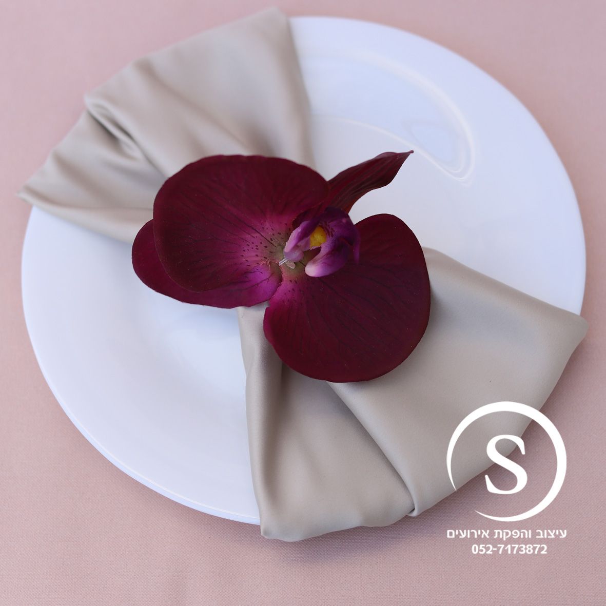 פליסמנט 3.jpg