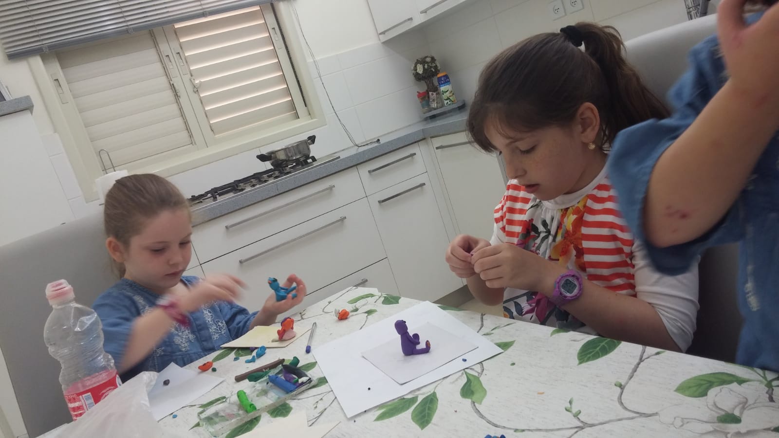 פלסטלינה (5).jpeg