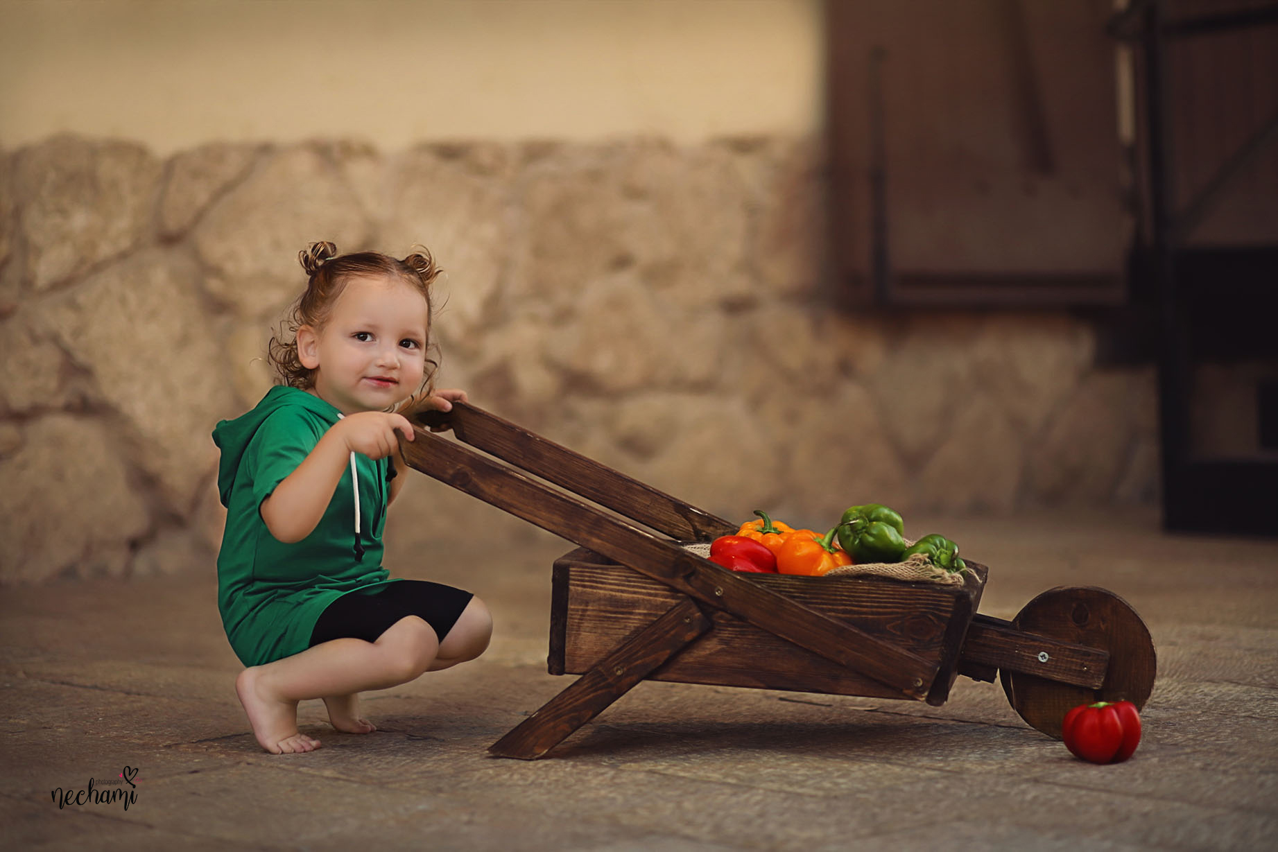 פלפל רחוק copy.jpg