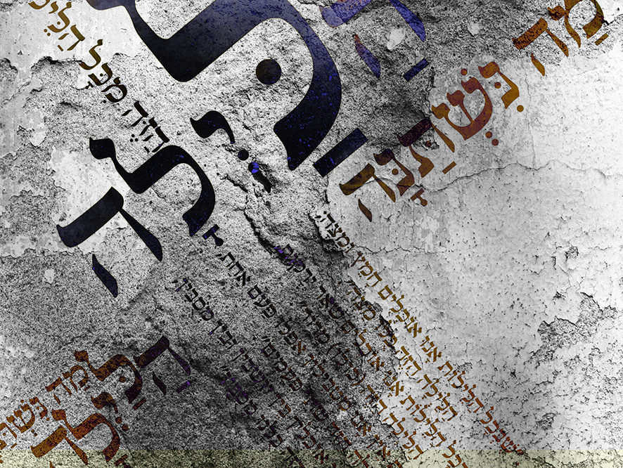 פנינה פארדו.jpg