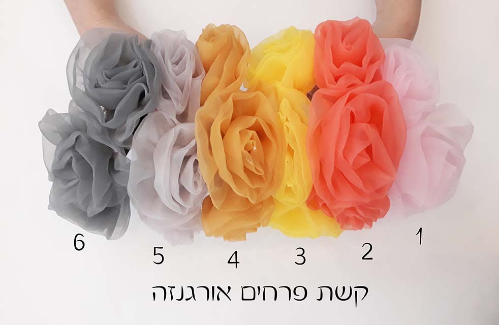 פסח תשע''ט (2).jpg