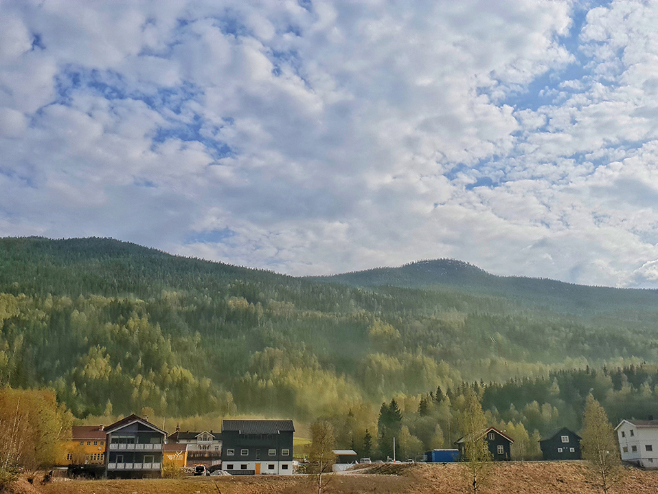 פסח תשע''ט 7160.jpg