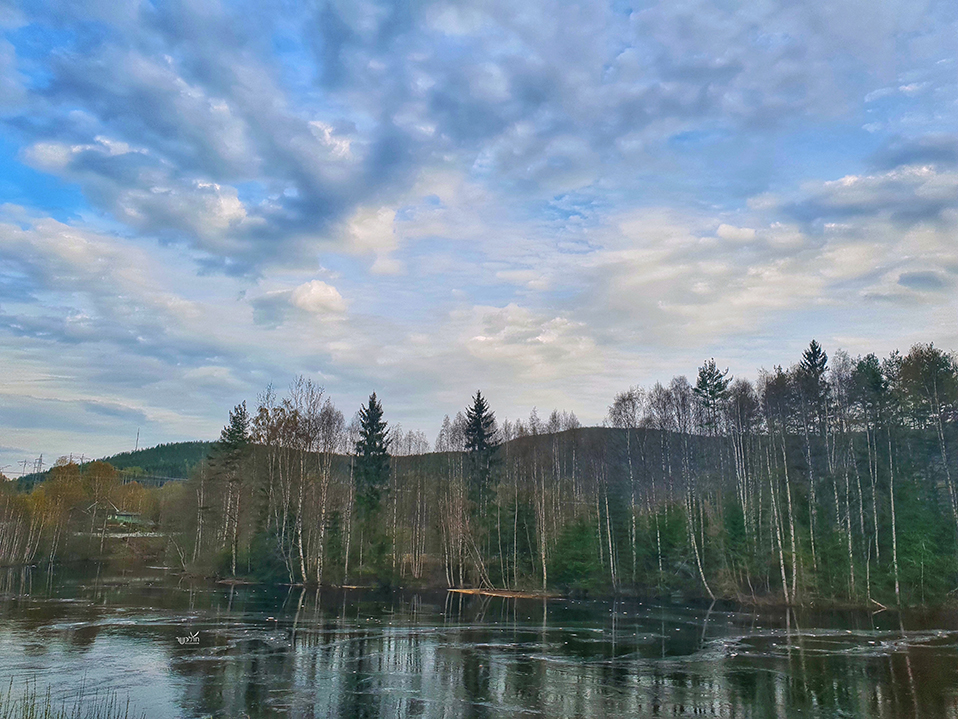 פסח תשע''ט 7161.jpg