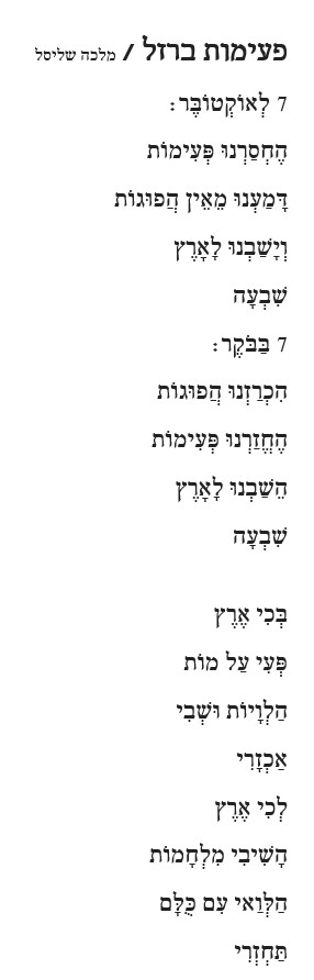 פעימות ברזל.jpg