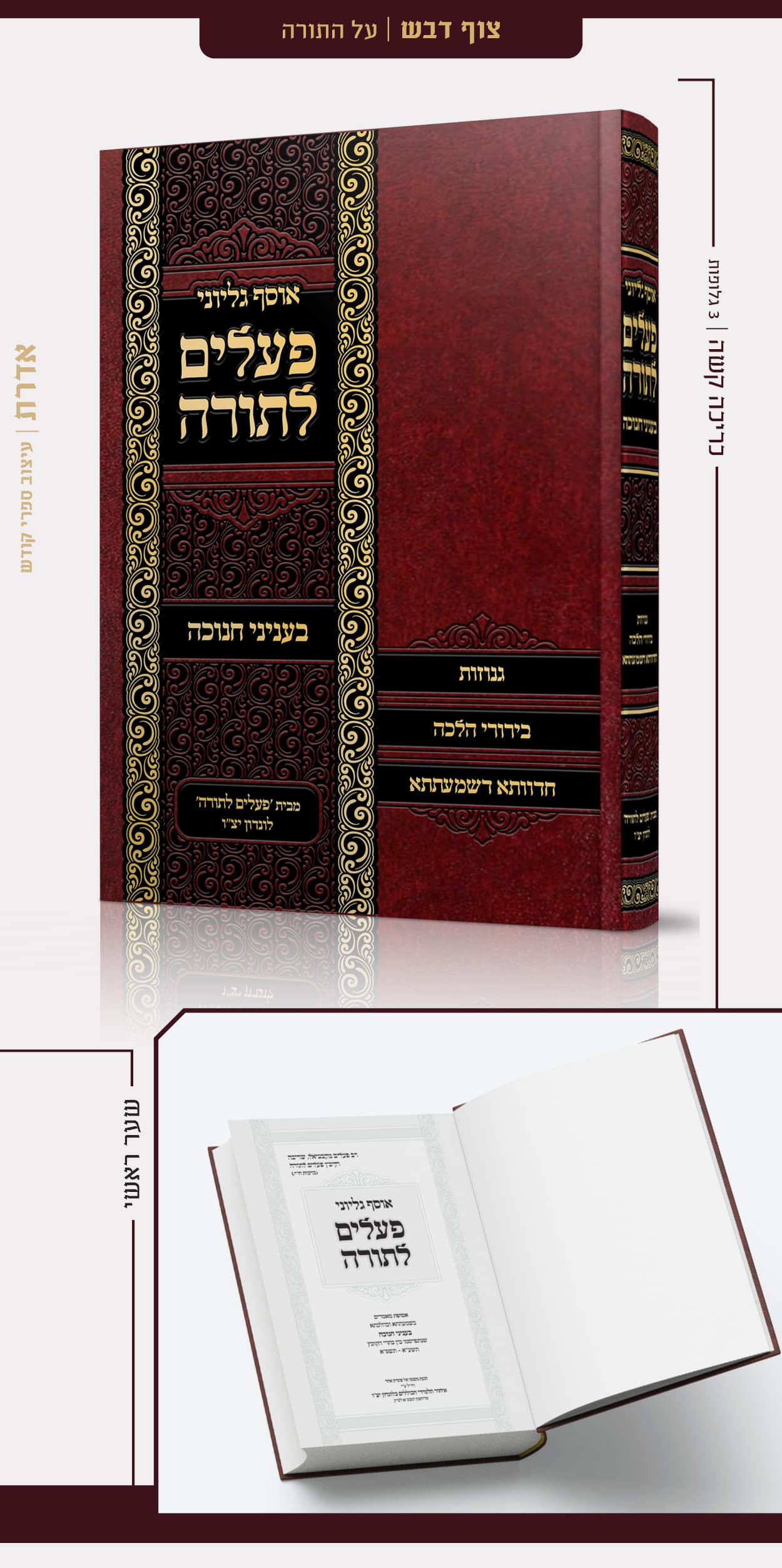 פעלים לתורה.jpg