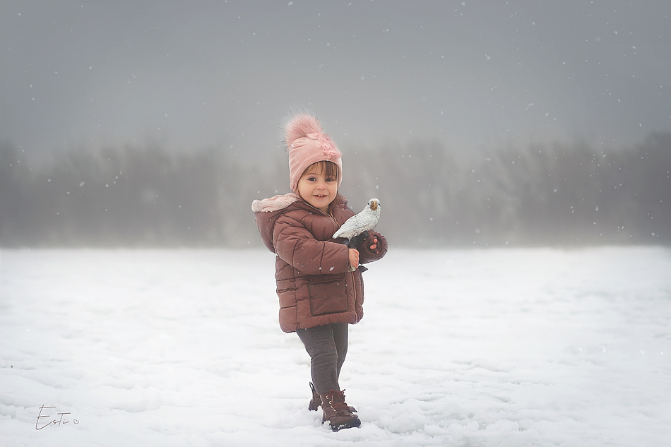 פערי שלג תוכי מ.jpg