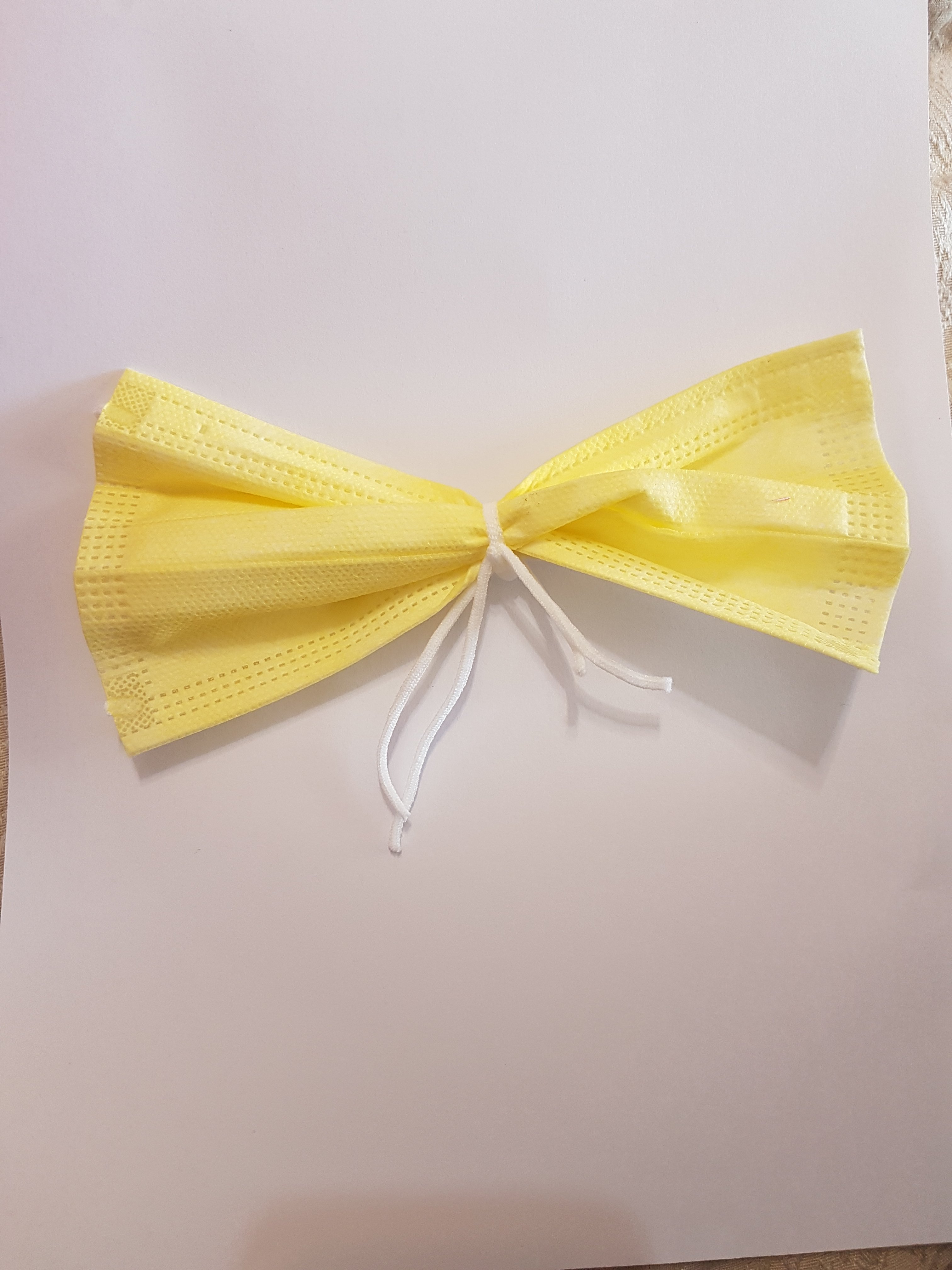 פפיון ממסכה.jpg