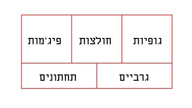 פצ.JPG