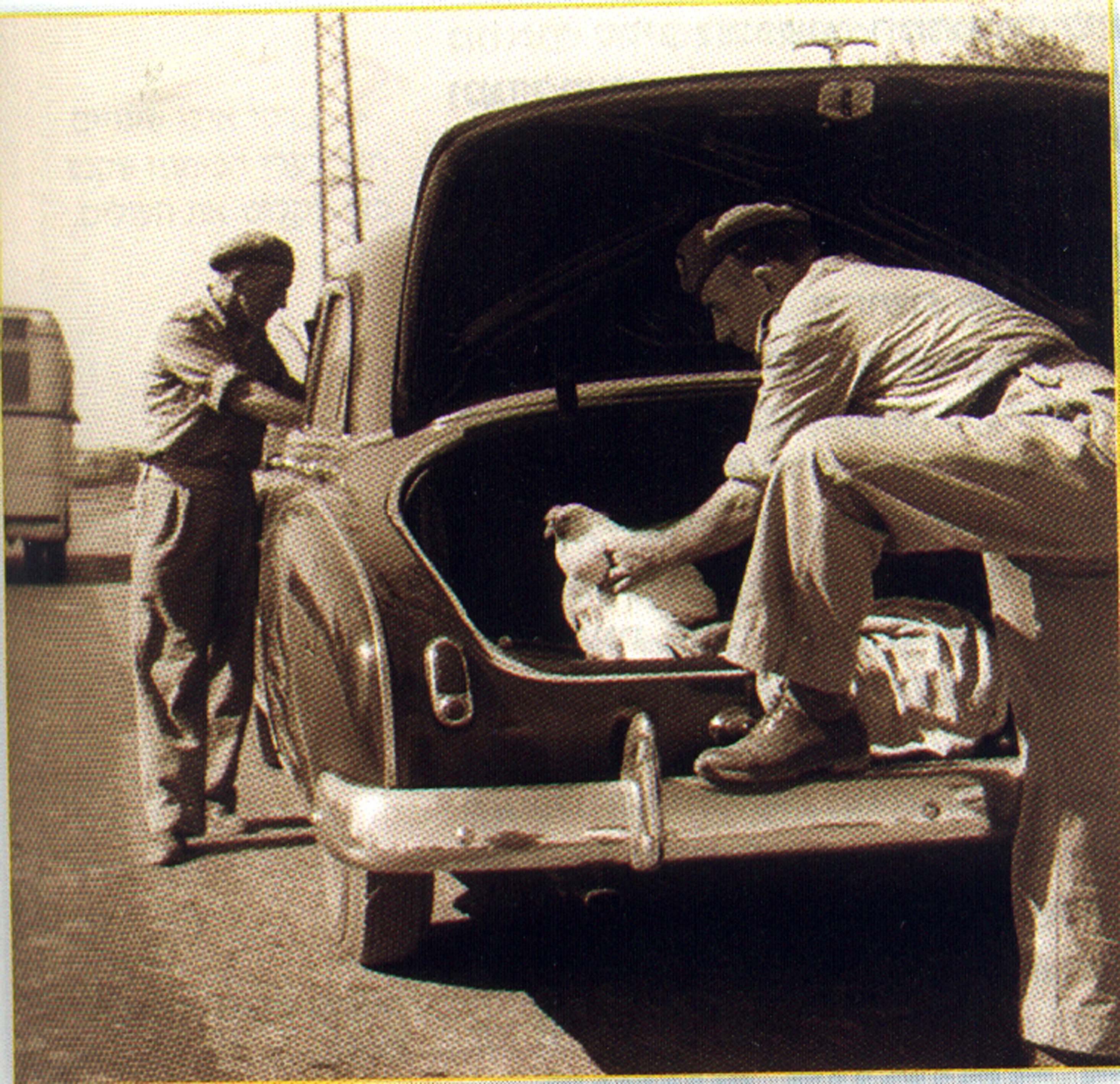 פקחים- השוק השחור.jpg