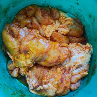 פרגית (2) (Mobile).jpeg