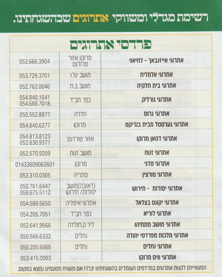 פרדסי אתרוגים.jpg