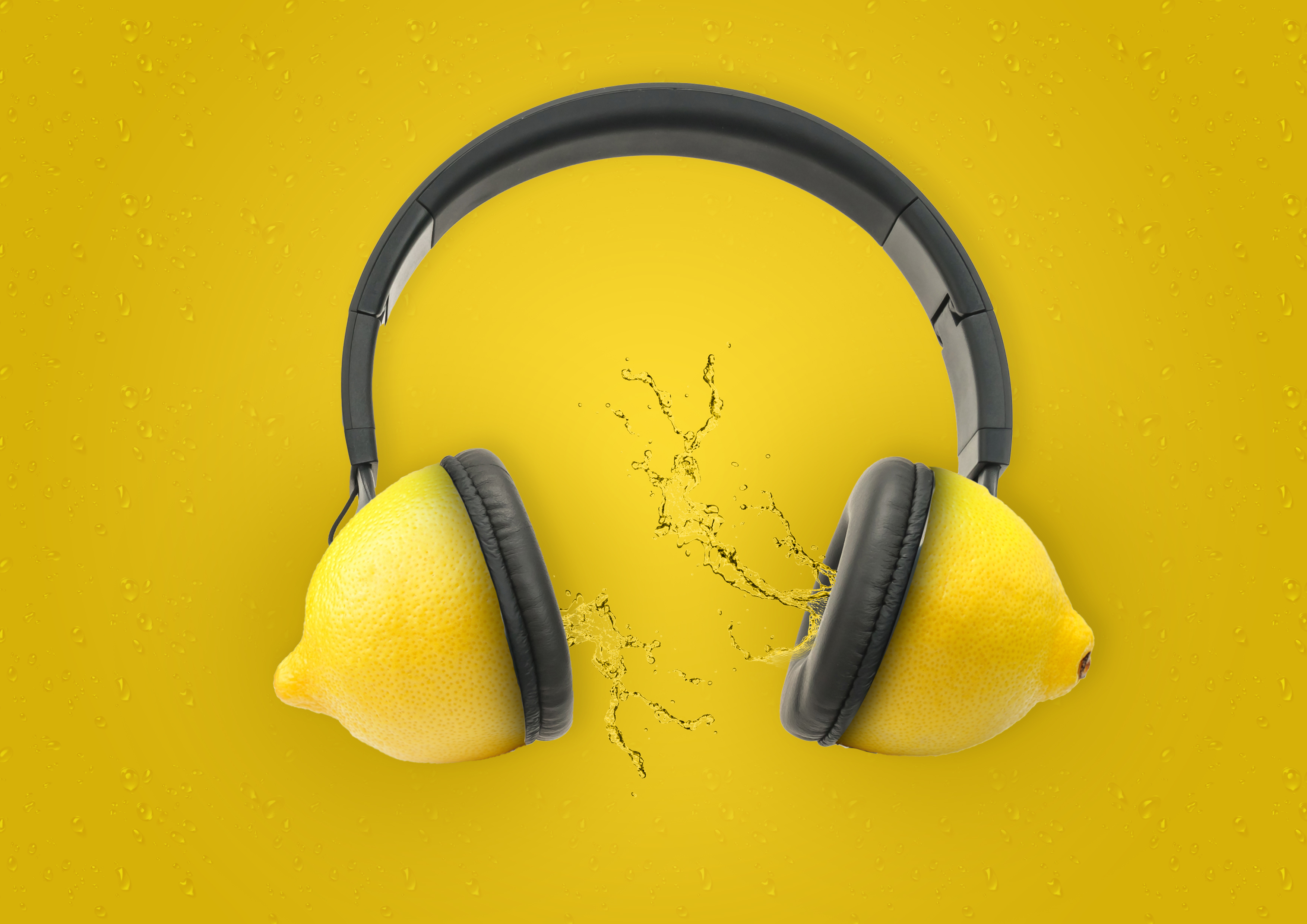 פרוג פרות אוזניות copy.jpg