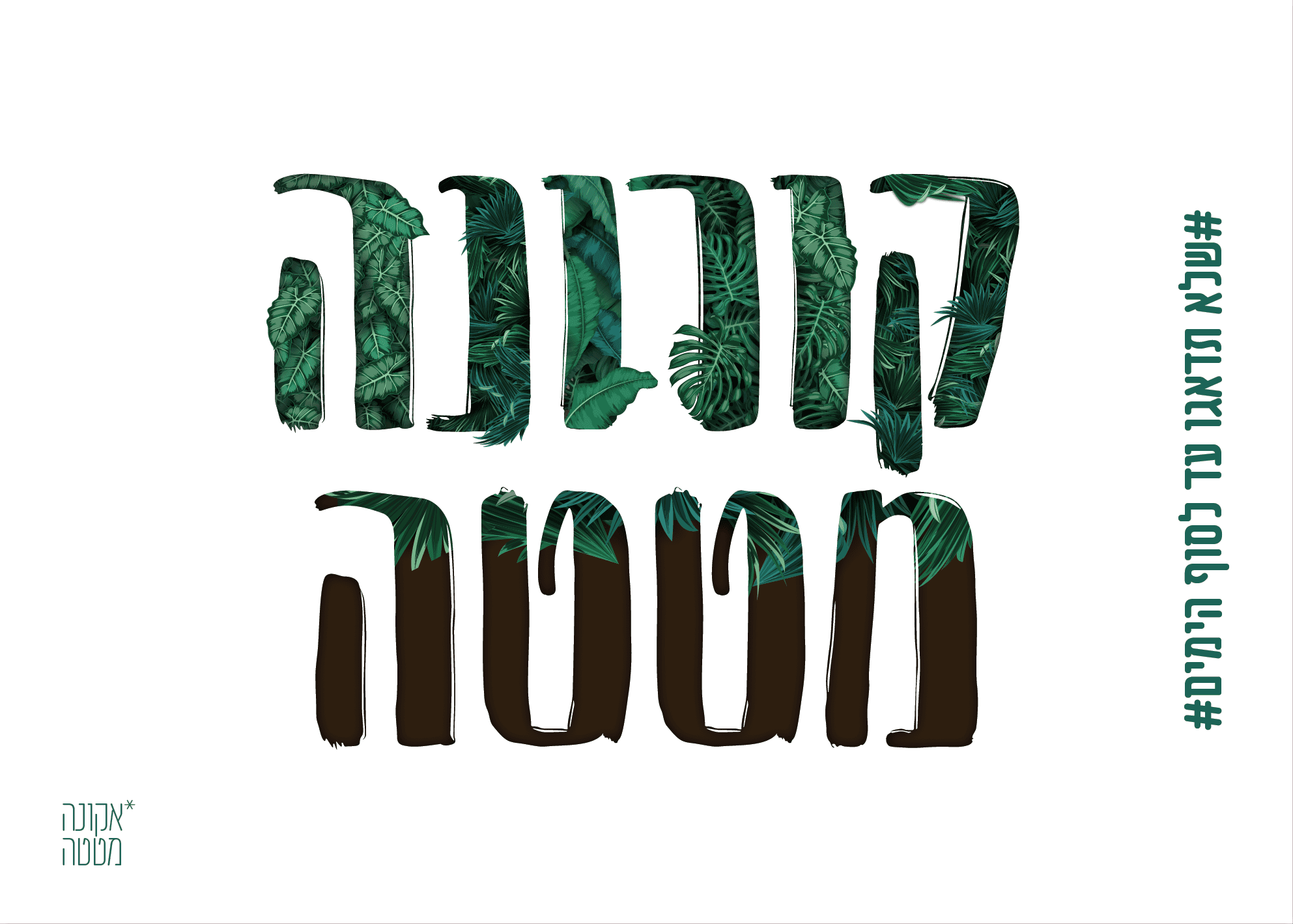 פרוג-01.png