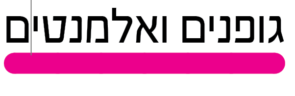 פרוג.png