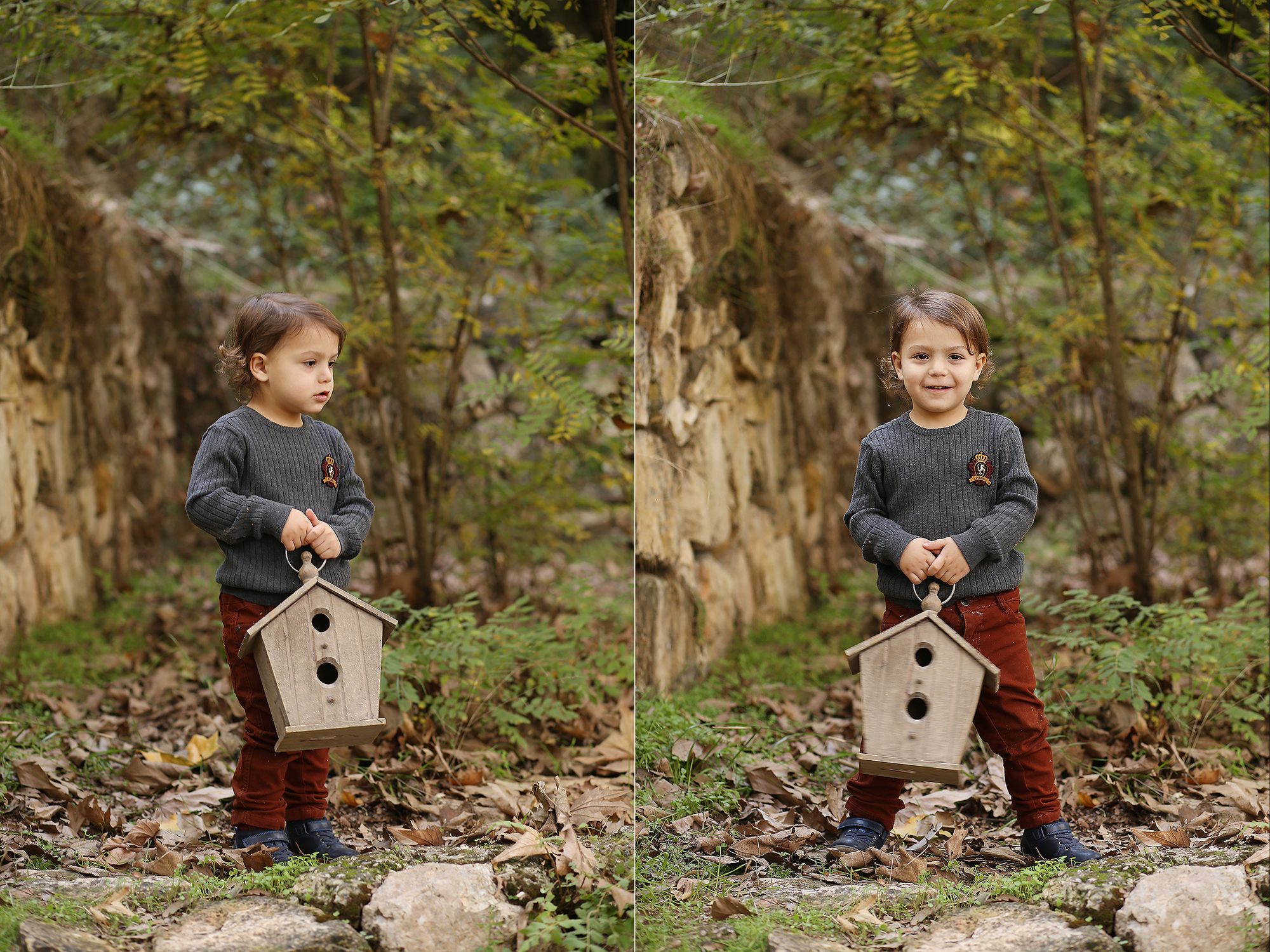 פרוג_לפני עיבוד.jpg