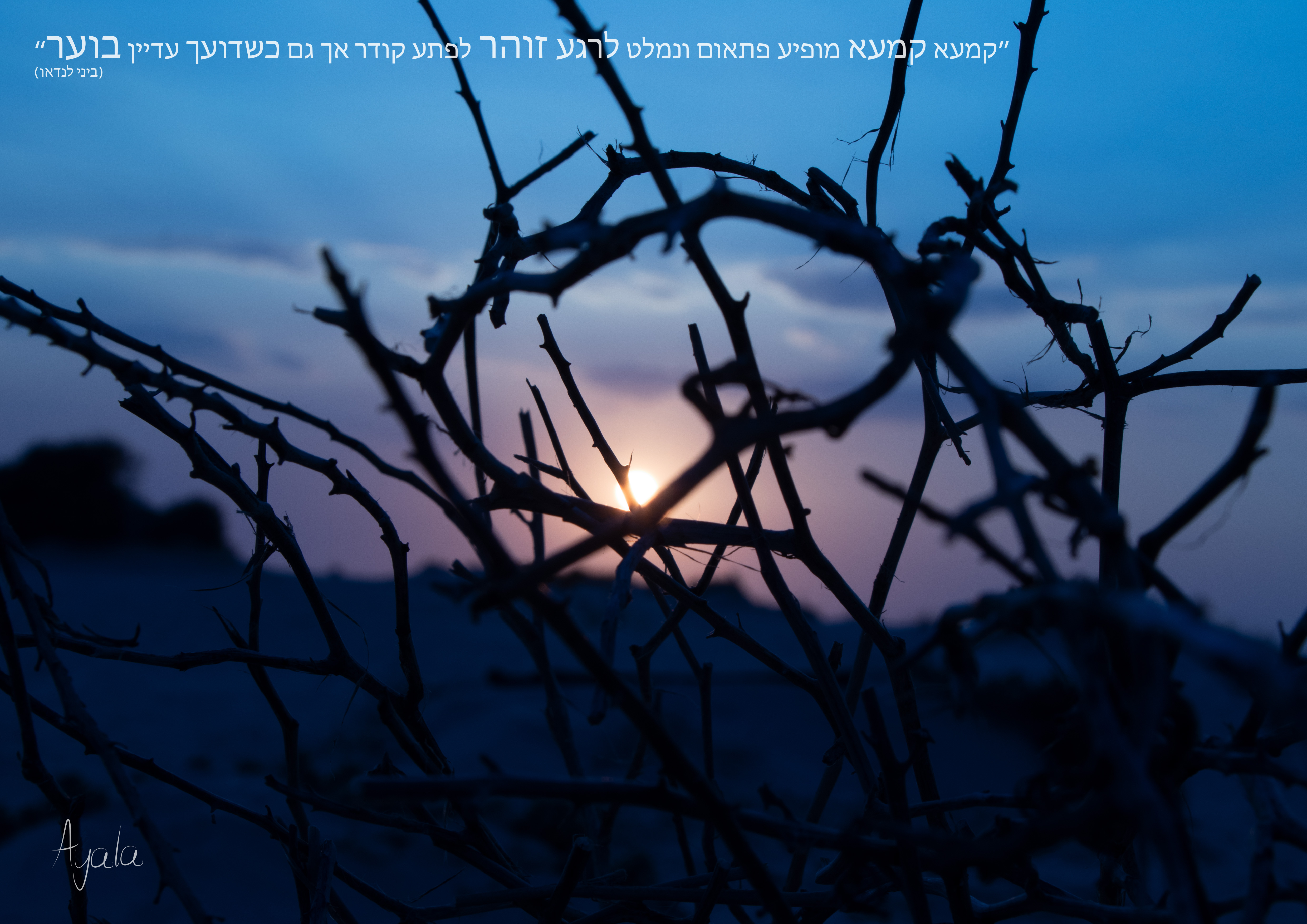 פרויקט גמר 4.jpg