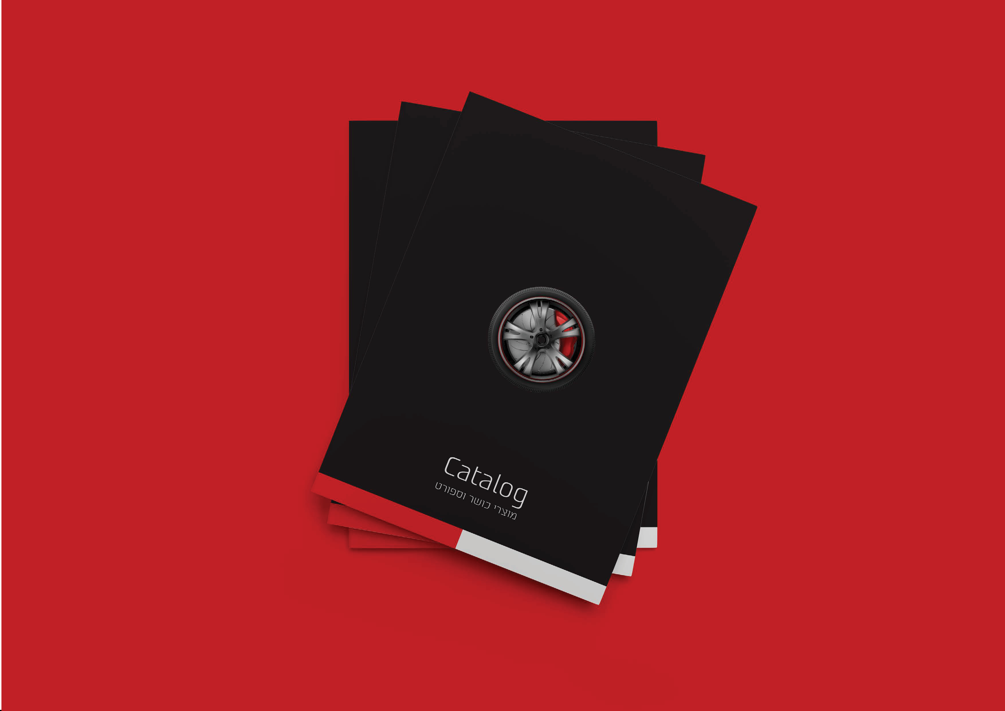 פרויקט גמר19.jpg