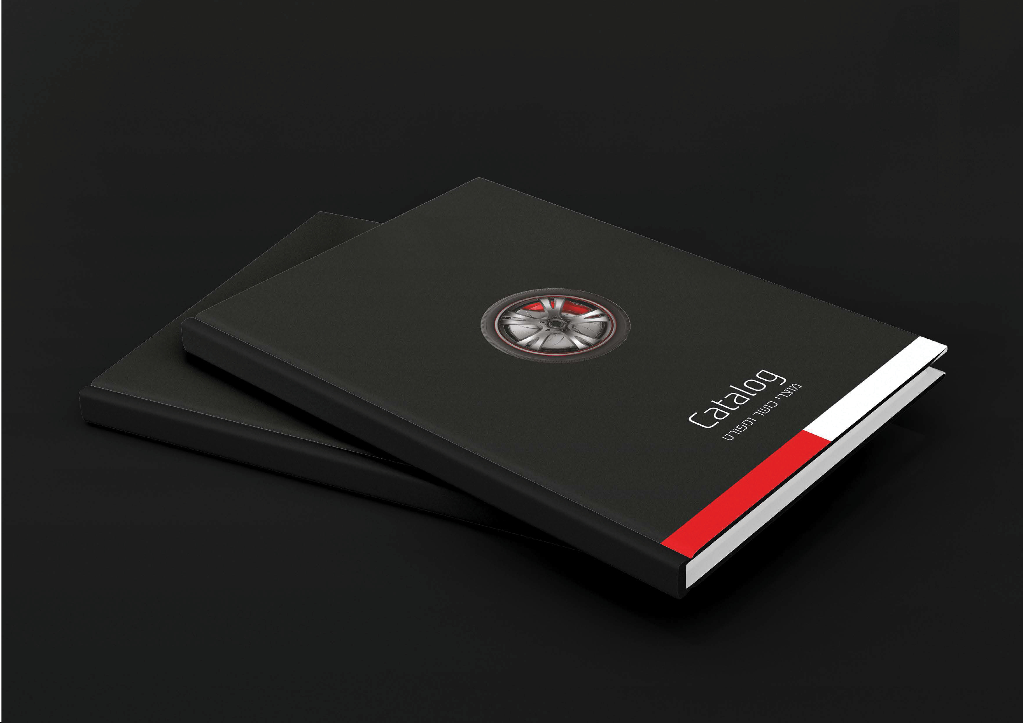 פרויקט גמר20.jpg