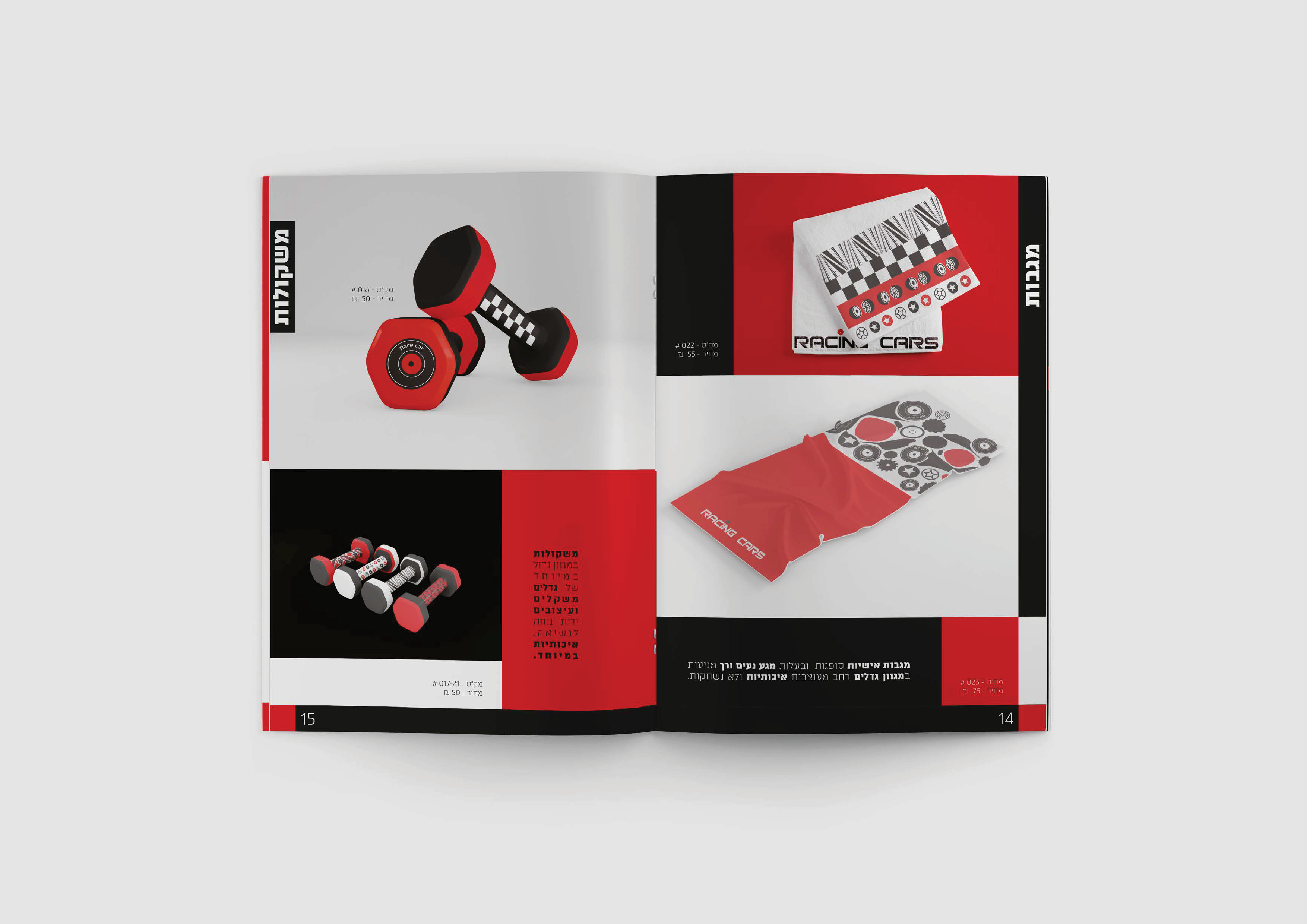 פרויקט גמר28.jpg