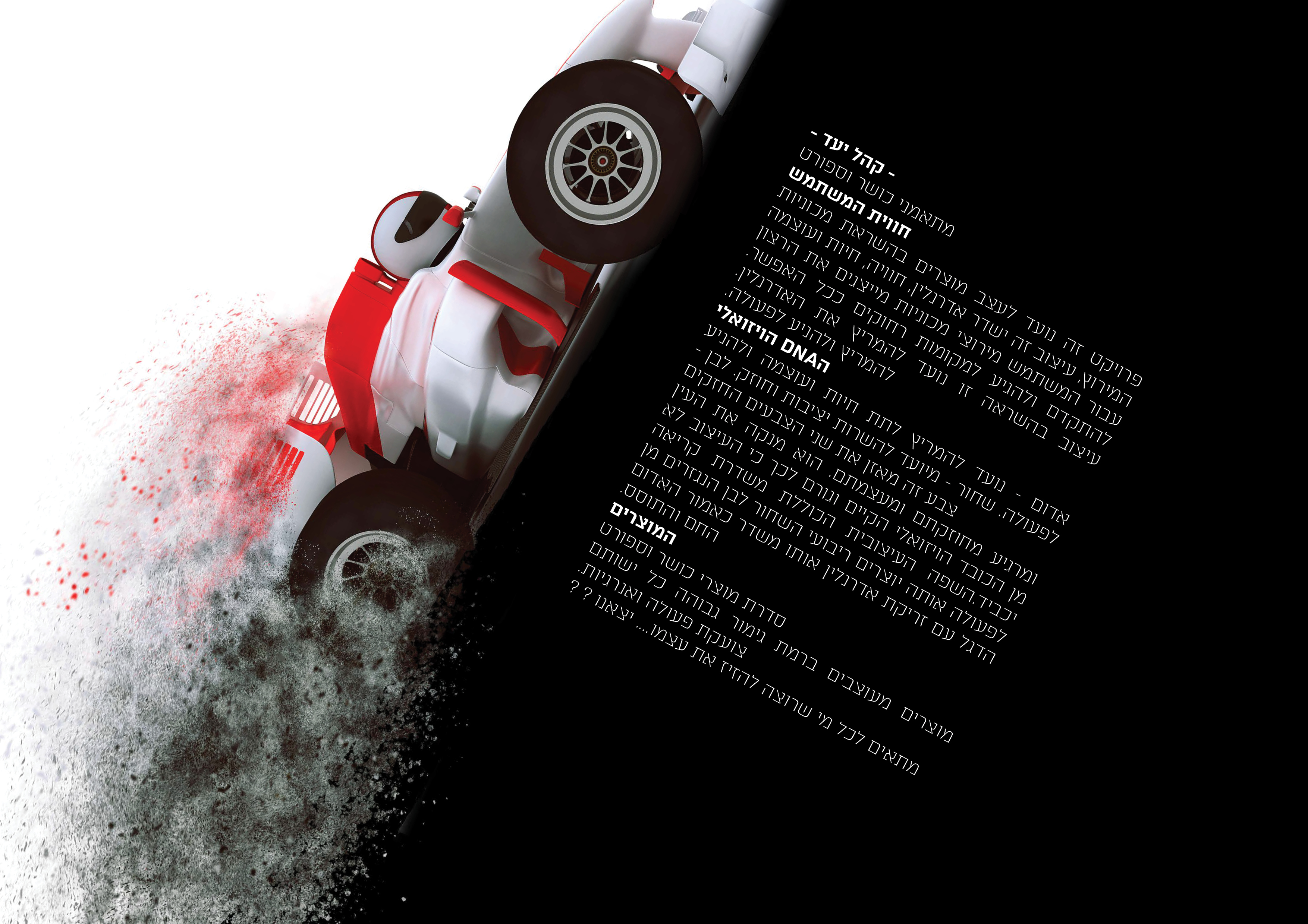 פרויקט גמר5.jpg