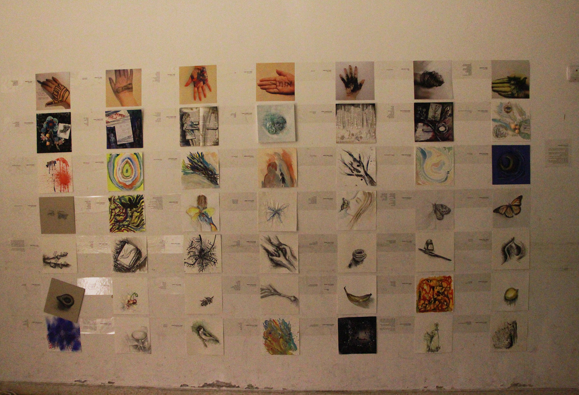 פרויקט 365 נעמי דוייטש.jpg