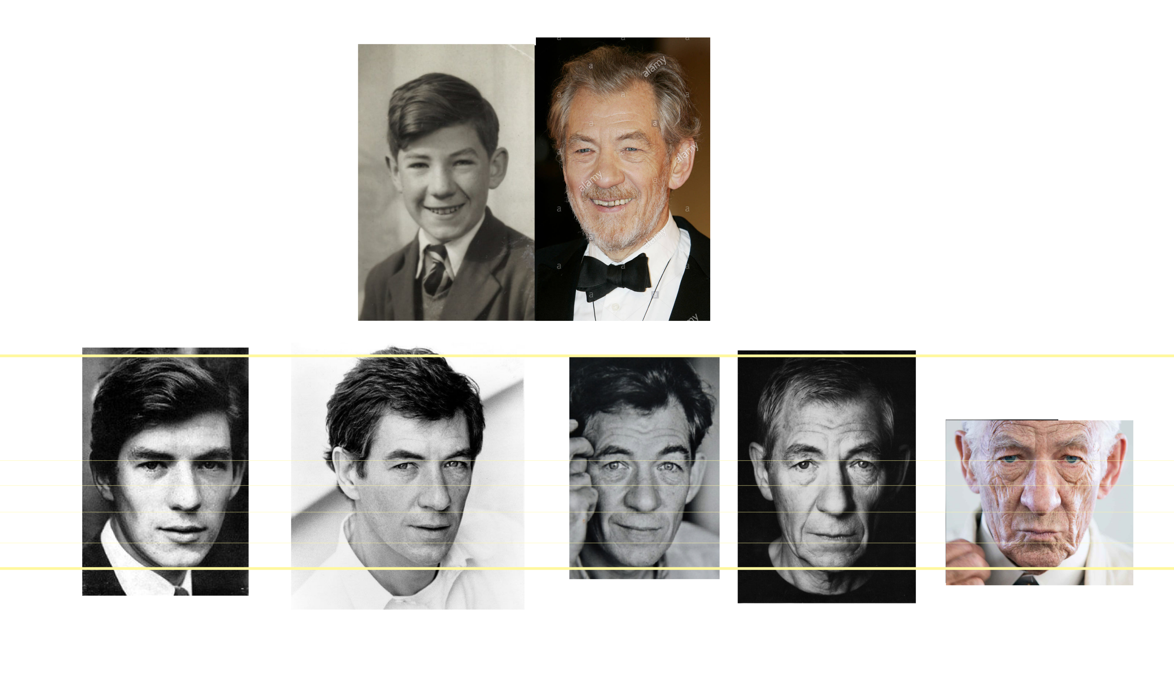 פרופורציות זקן.jpg