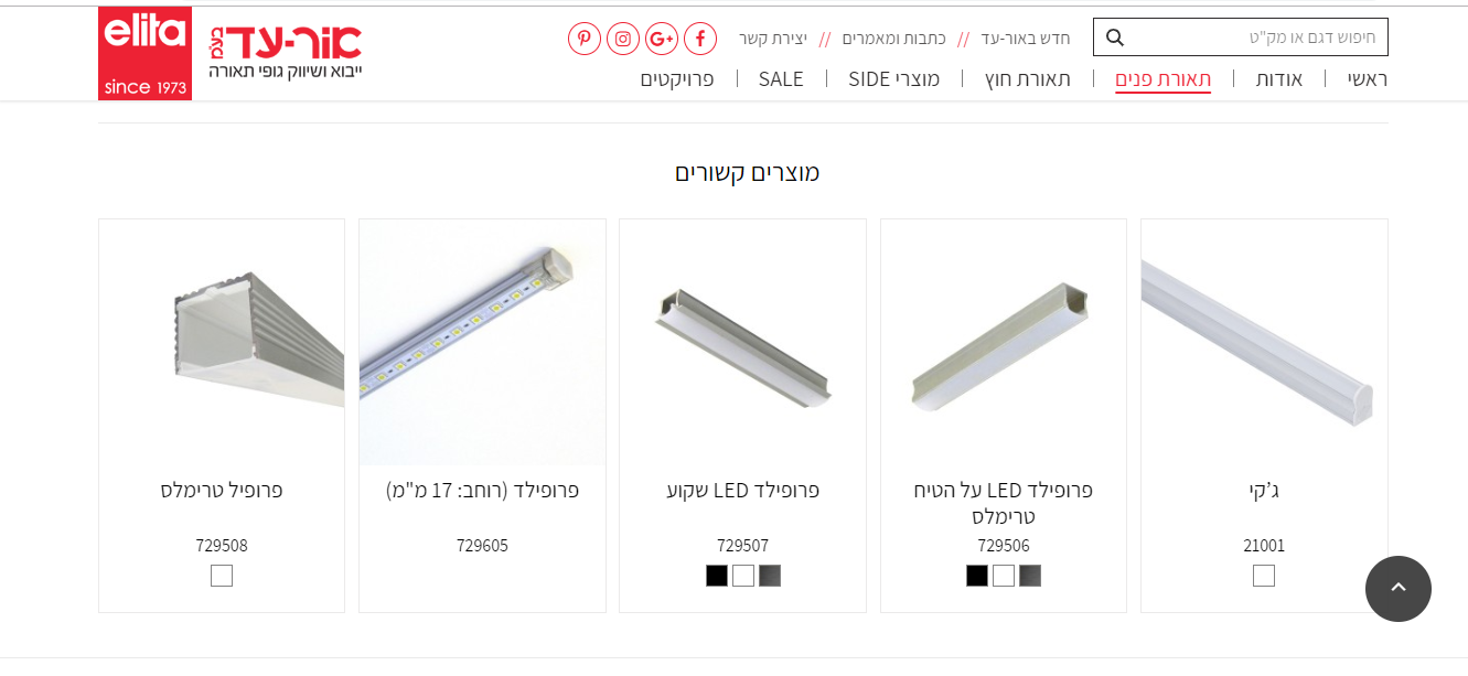 פרופיל סכין.png