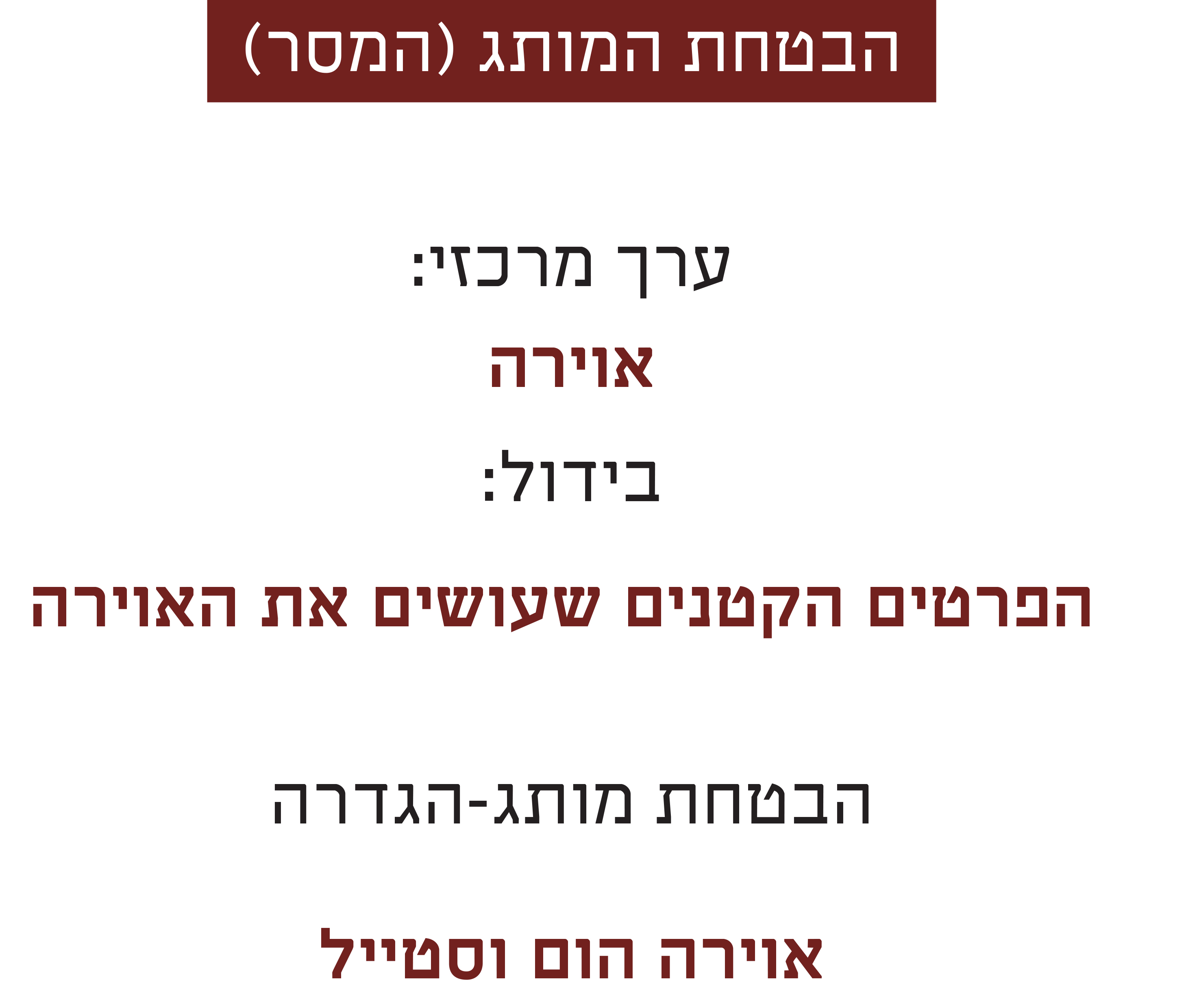 פרזנטציה-3 copy.JPG