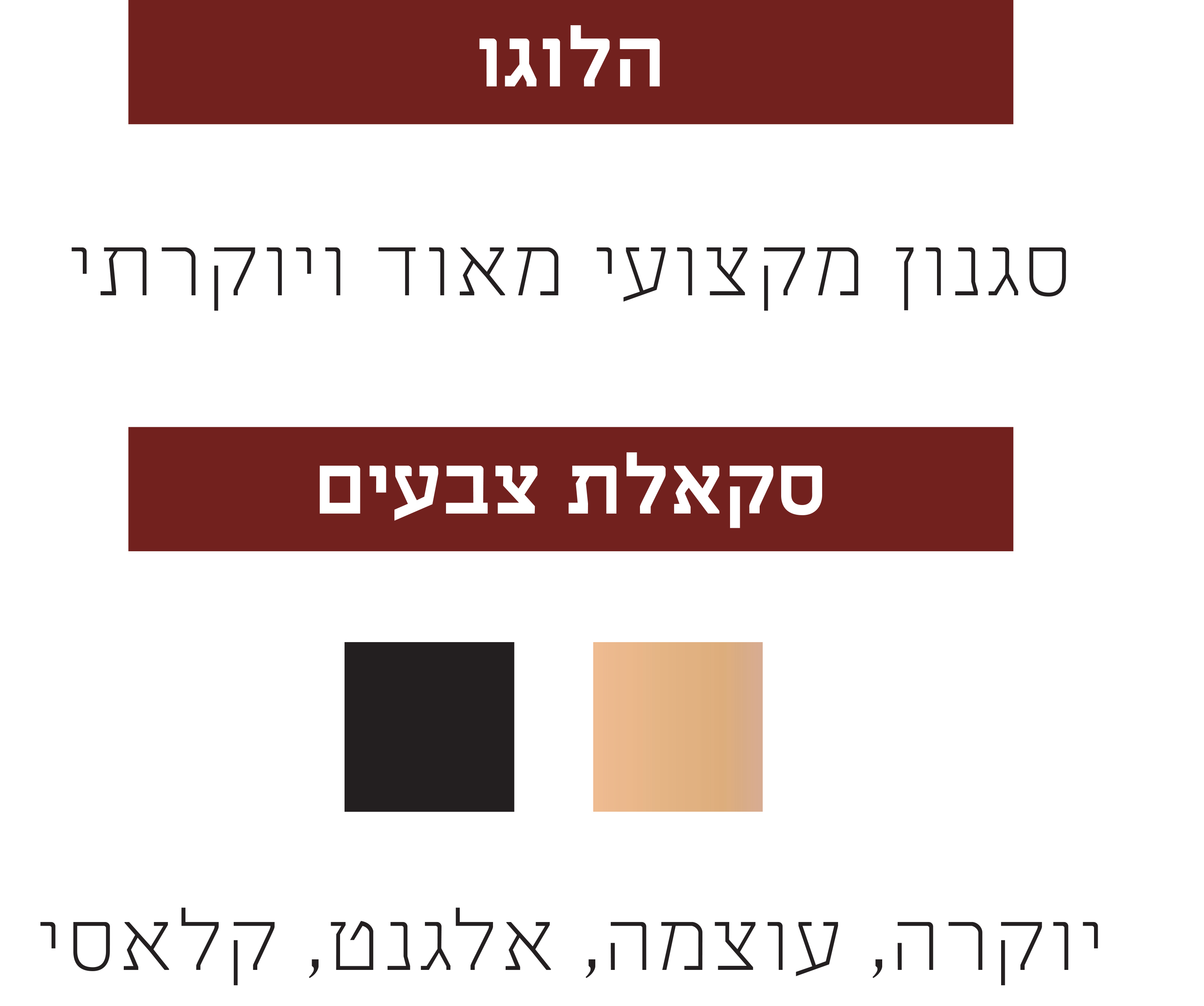 פרזנטציה-4 copy.jpg