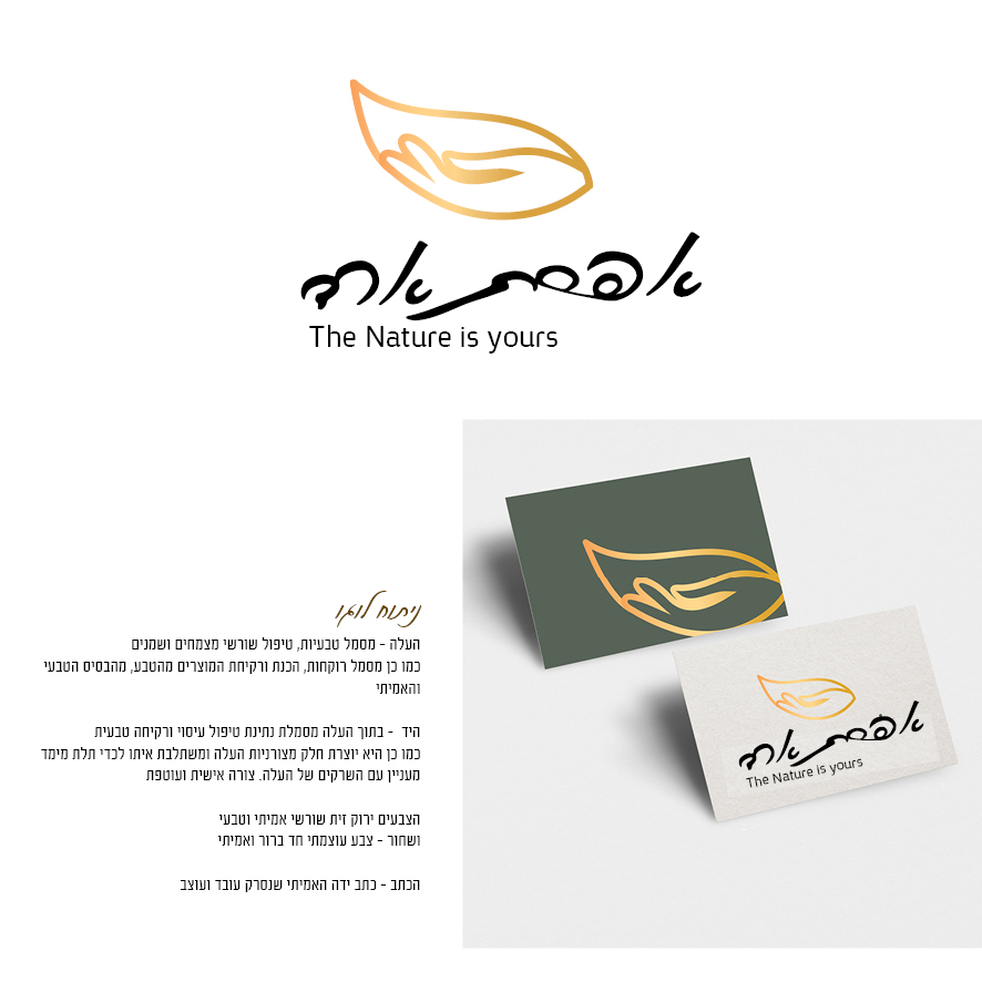 פרזנטצית מיתוג אפרת ארד5.jpg