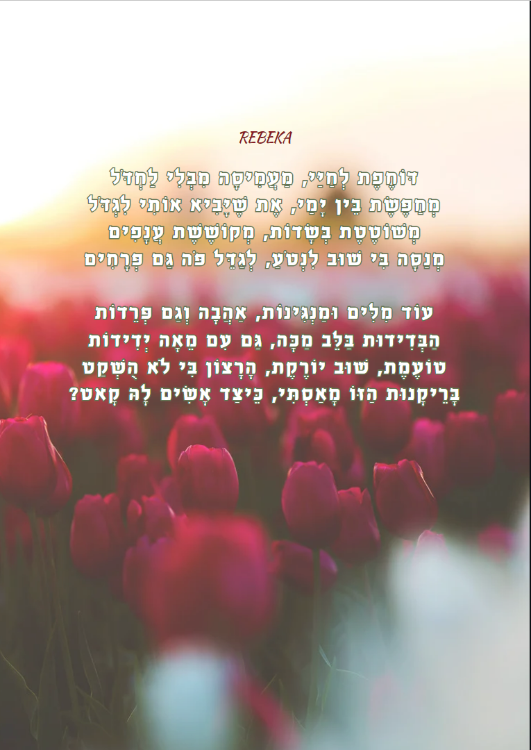 פרחים בשדה חיי.png