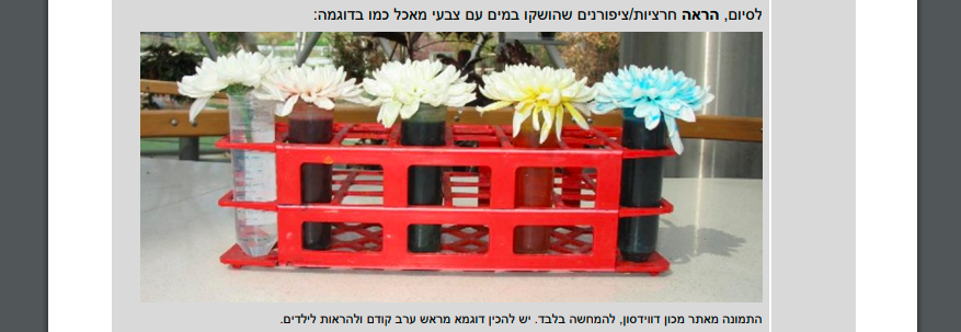 פרחי צבועים.png