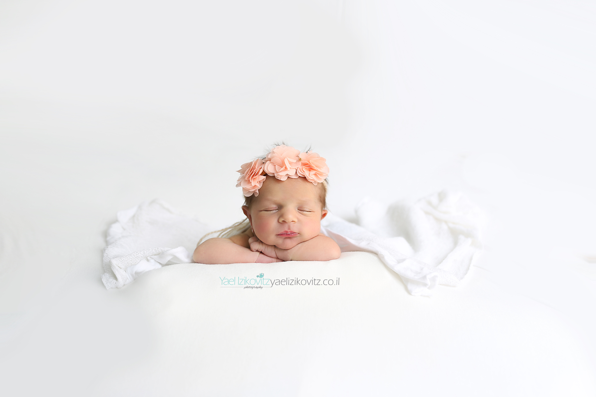 פרח מוקטן.jpg