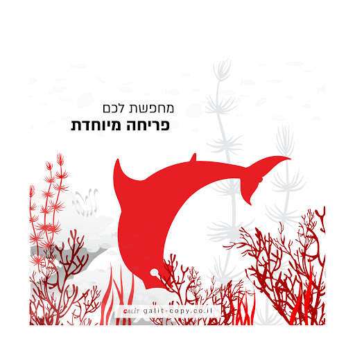 פריחה מיוחדת.jpg