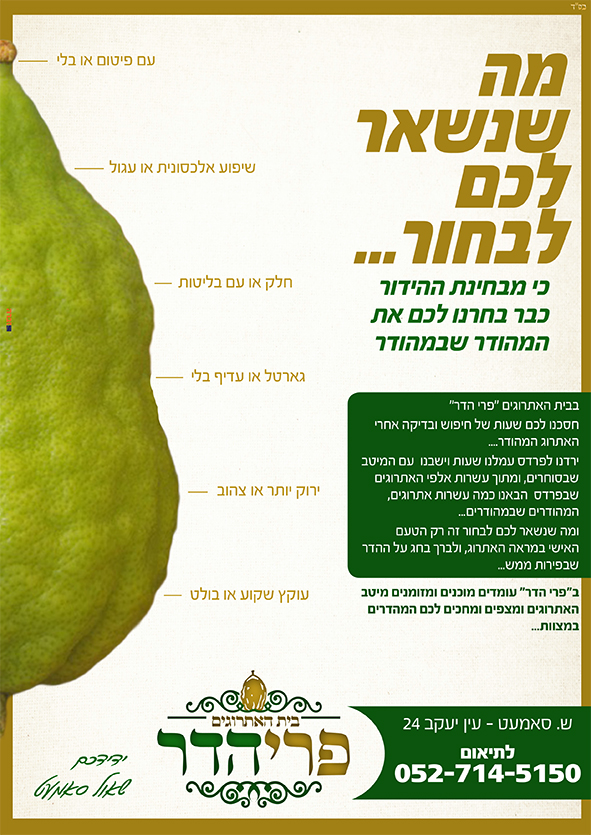פרסום א.jpg