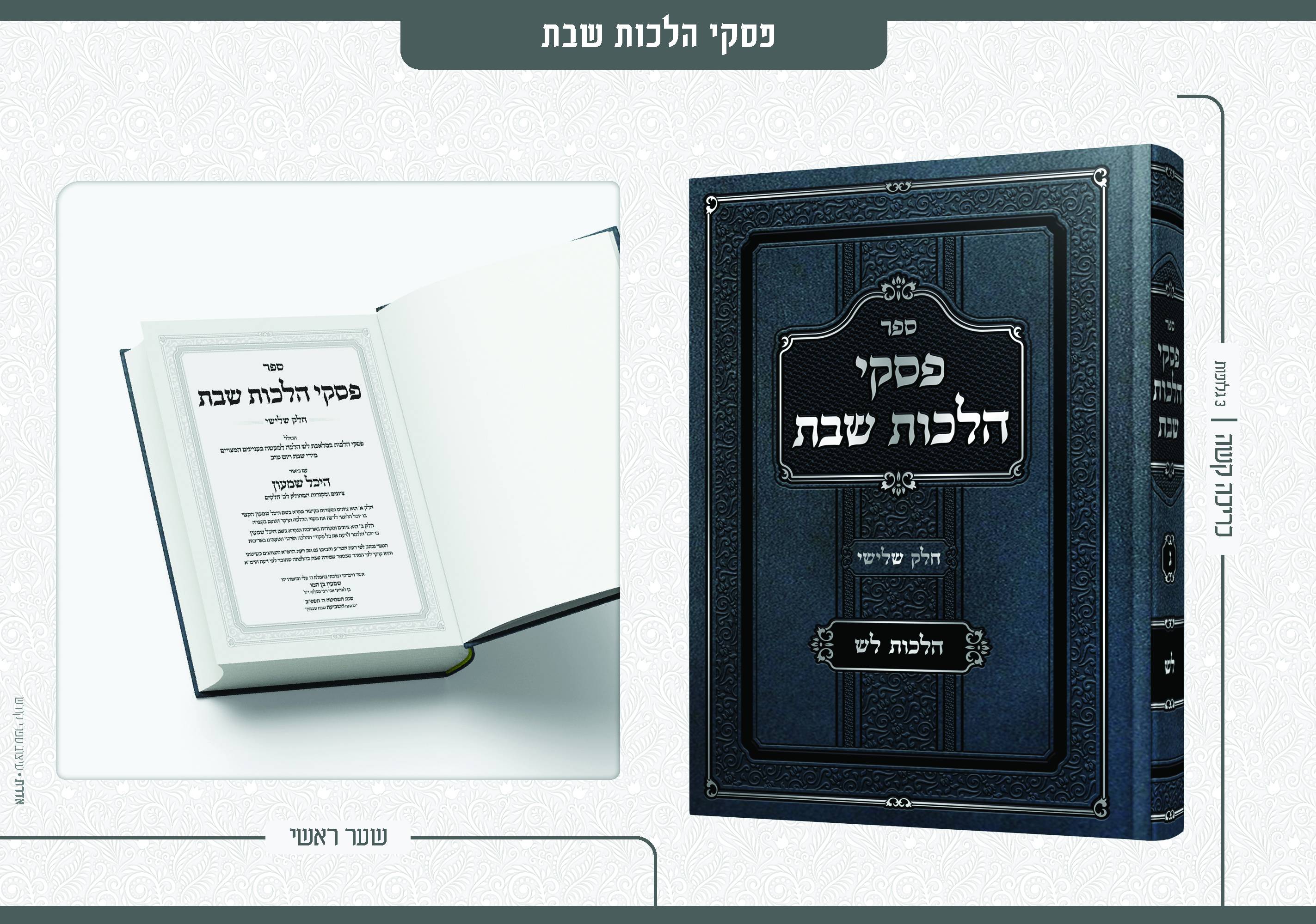 פרסום עבודות 10 - דסקטופ16.jpg