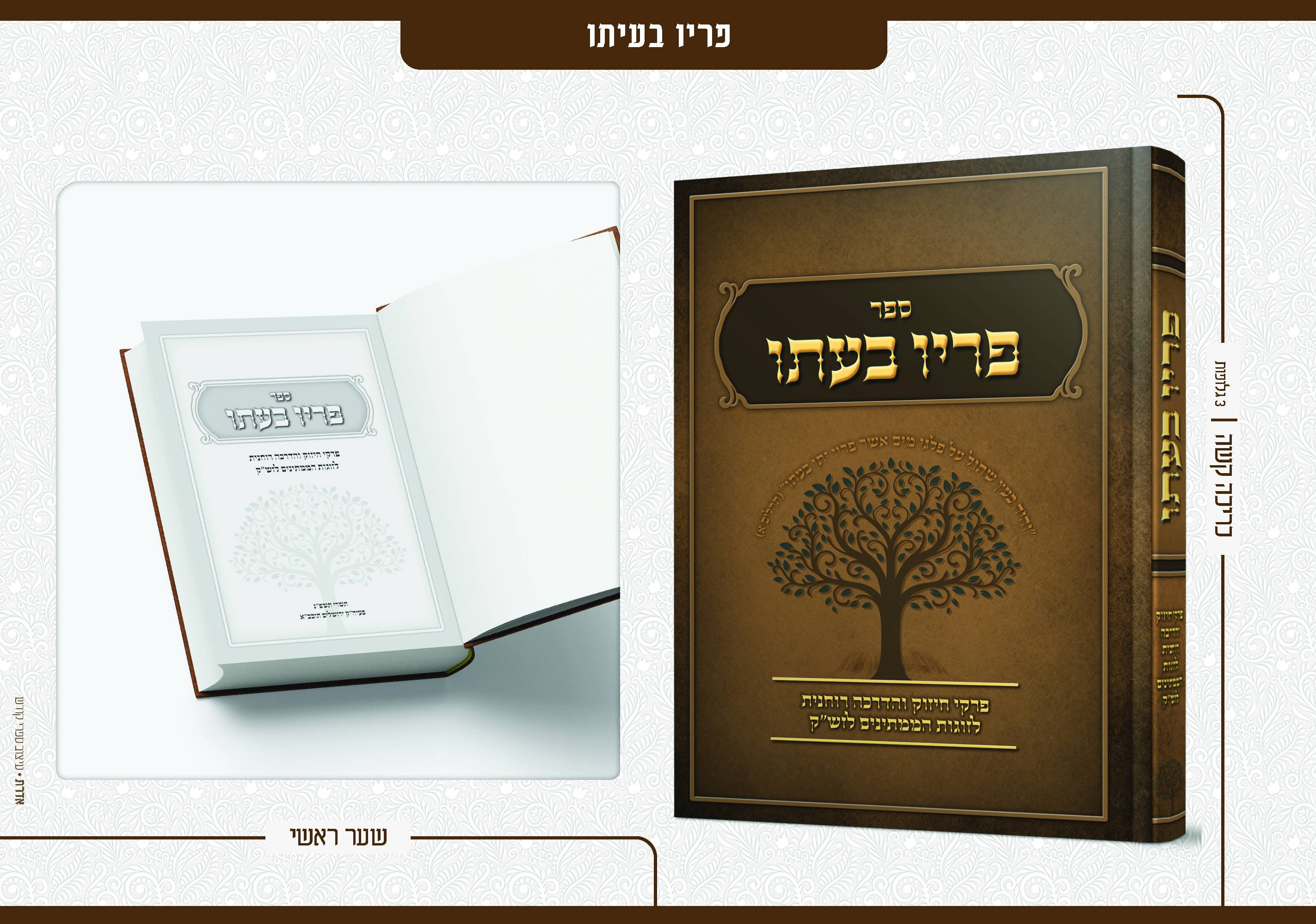 פרסום עבודות 10 - דסקטופ9.jpg