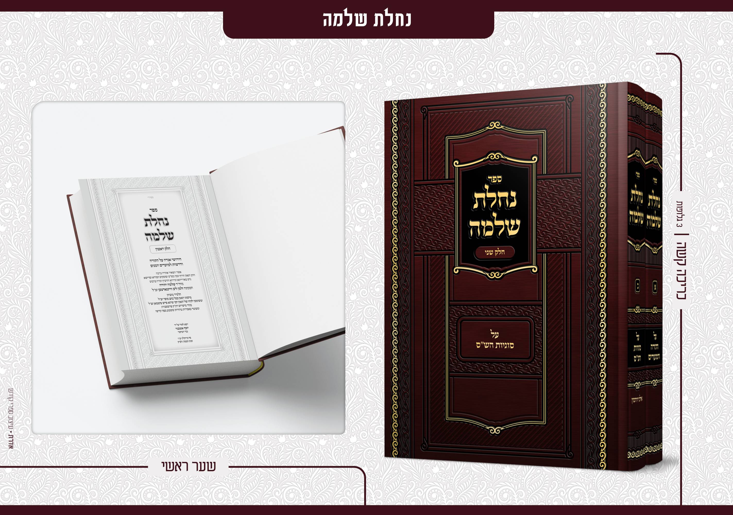 פרסום עבודות 11 - דסקטופ10.jpg