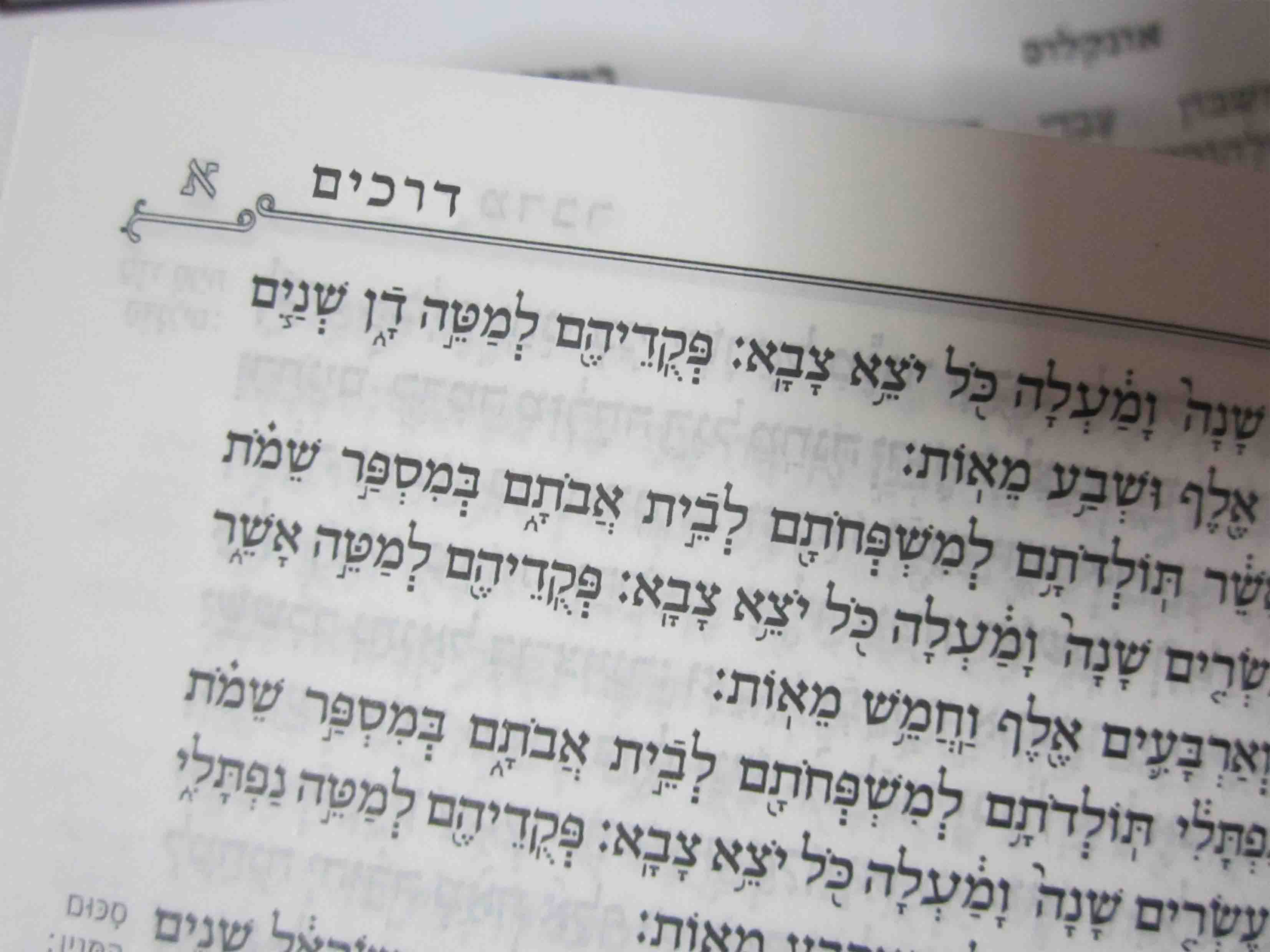 פרשת דרכים copy.jpg