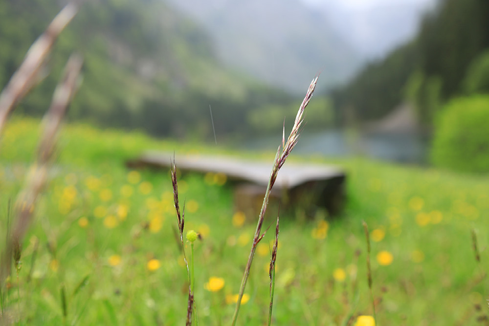 פשוט לעוף טיול מונטנגרו הפינוקים8.jpg