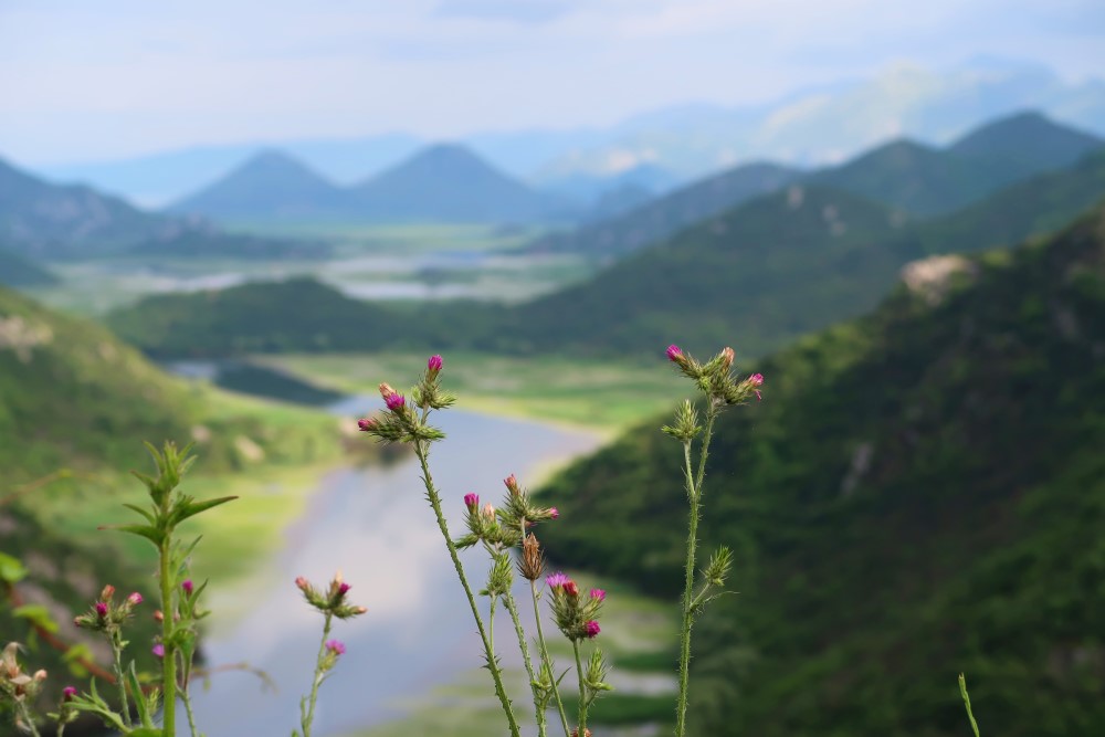 פשוט לעוף מונטנגרו מאי 2019 (30).jpg