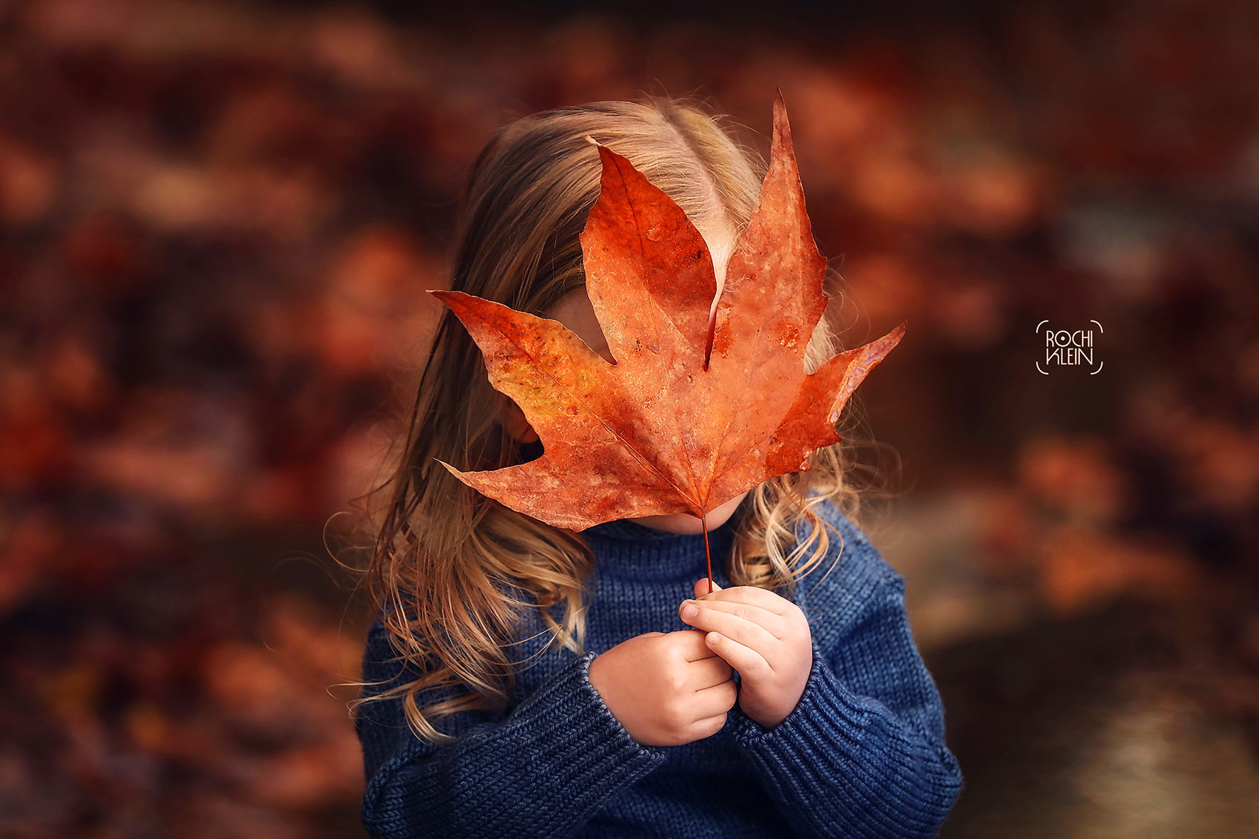 פ ר י ח ו ת (36).jpg