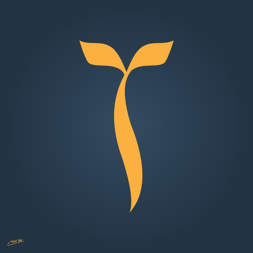 ץ וקטורית.png