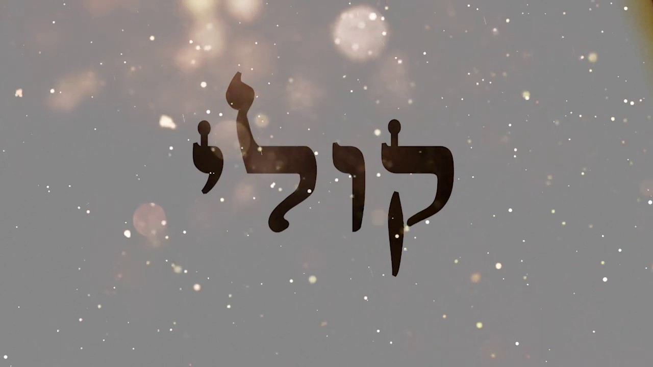 צבי וייס - קולי.jpg