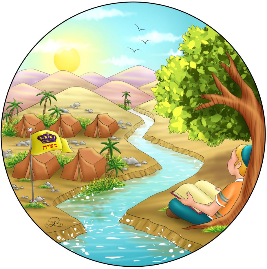 צבע מתוקן.JPG