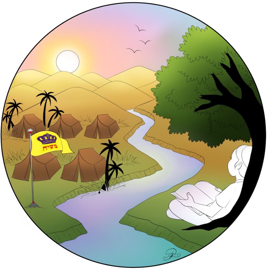 צבע ראשוני.JPG