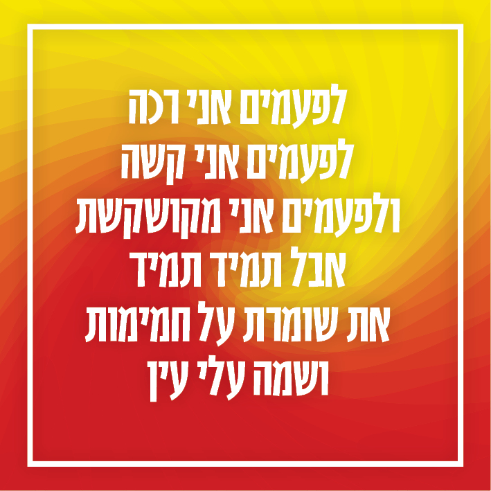 צהוב.jpg