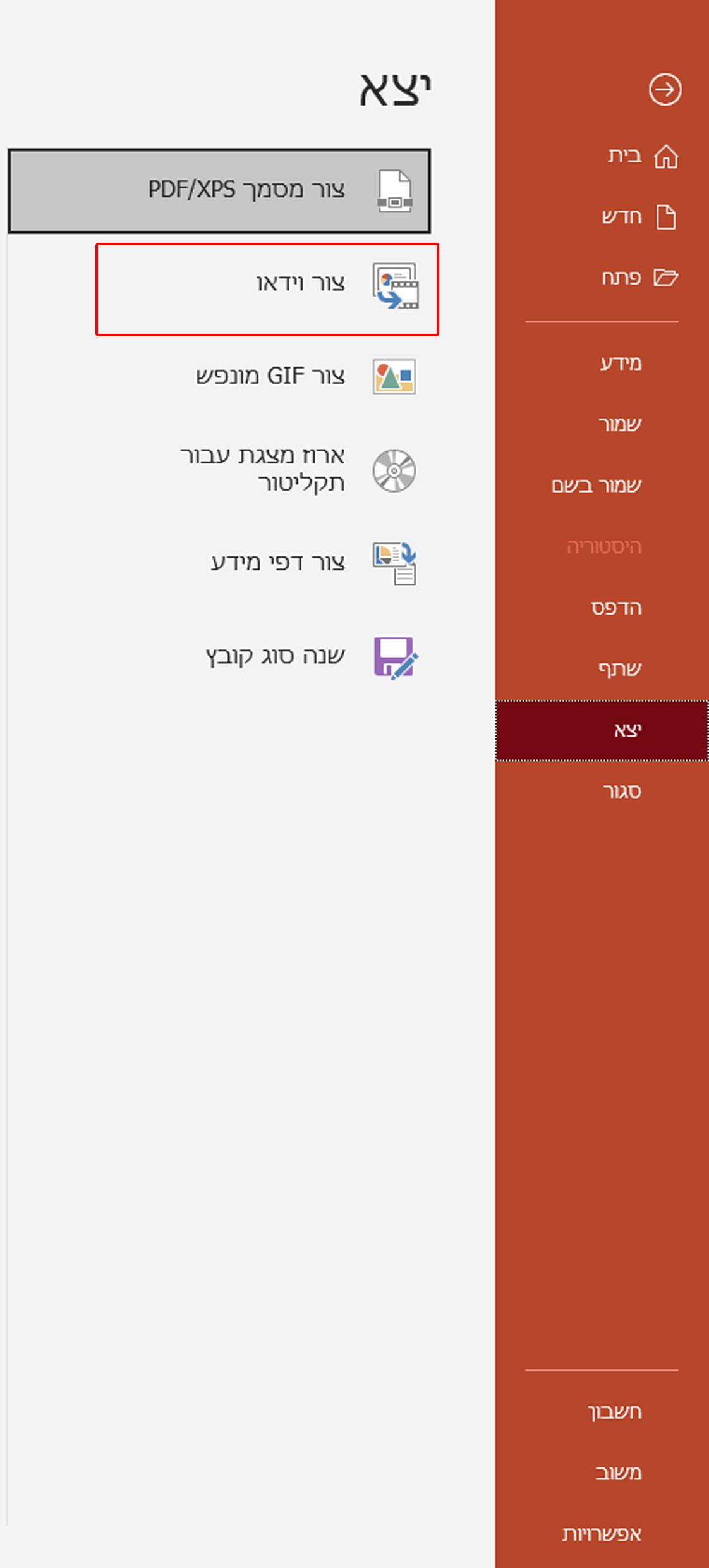 צור וידאו.jpg