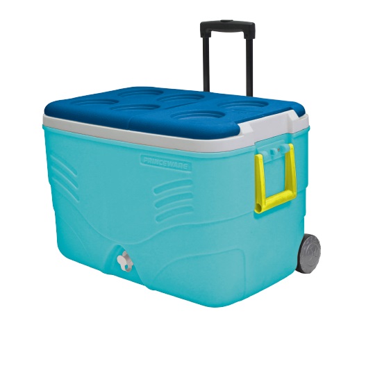 צידנית 60 ליטר.jpg